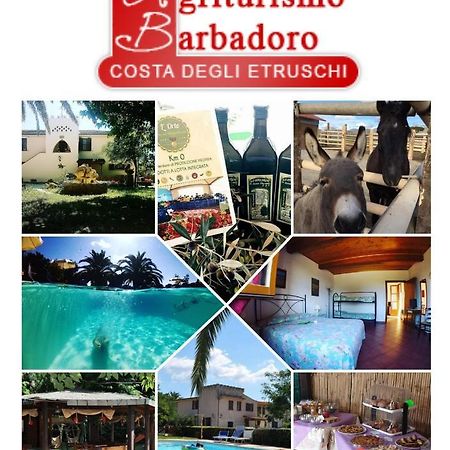 Agriturismo Barbadoro Сан-Вінченцо Екстер'єр фото
