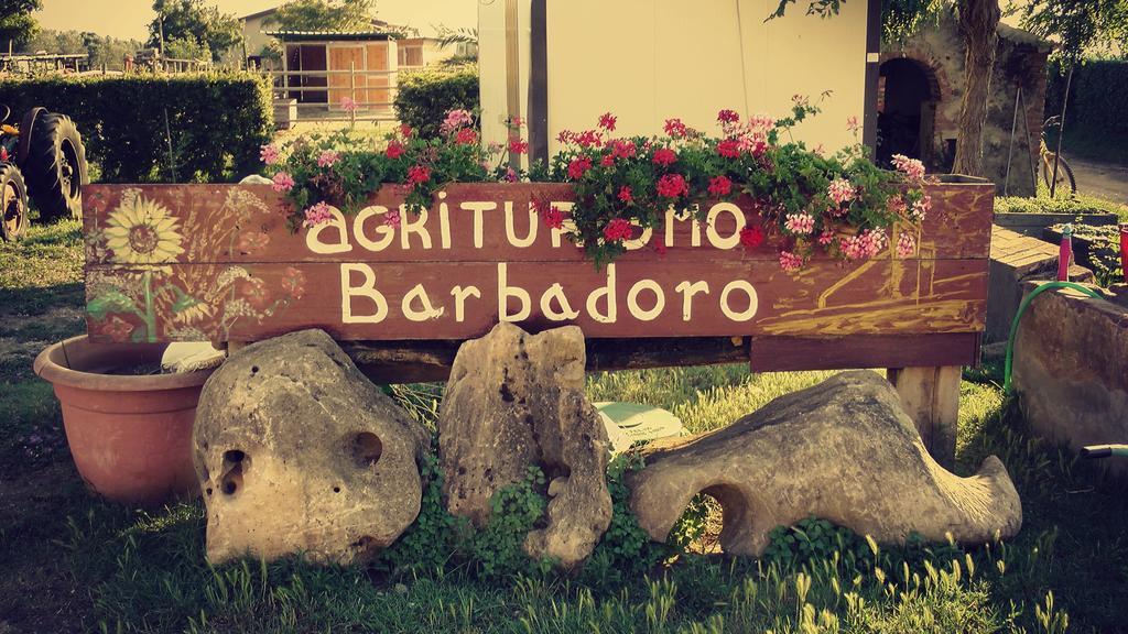 Agriturismo Barbadoro Сан-Вінченцо Номер фото